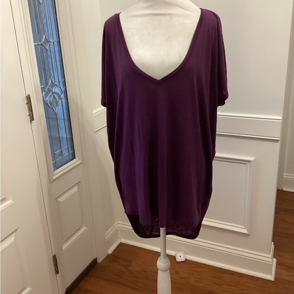Express Tops - Express V-Neck Tunic TOP